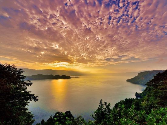 d4f566dc3305ba8458927de66a8a0305