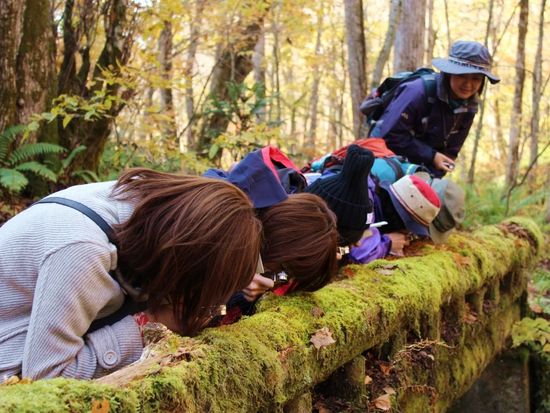 28c6bc94ea02481771b76db4e53451a3