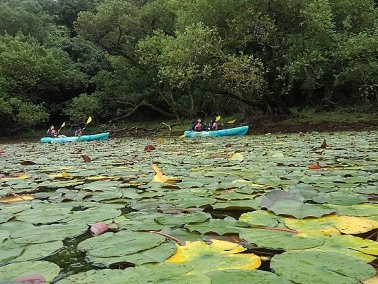【愛犬連れOK】カヤック体験 ペットと一緒にのんびり四季を楽しむ多鯰池コース ＜1.5時間／山陰海岸ジオパーク鳥取砂丘エリア内＞by 鳥取県自然体験塾