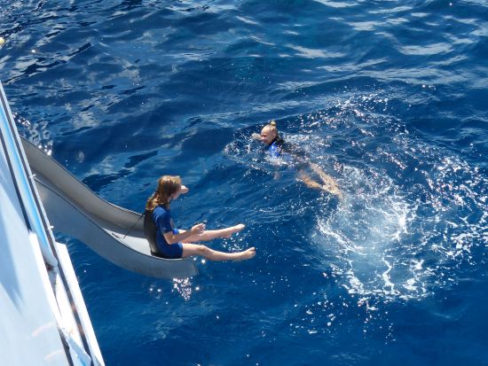 マウイ島シュノーケリングクルーズ　ウミガメの生息地「タートル・タウン」でシュノーケリングを満喫！＜4.5時間／昼食付き／マアラエア港発＞