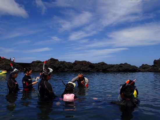 ウミガメシュノーケリングツアー 　少人数制で安心サポート！＜4～10月／午前・午後／送迎あり／八丈島＞