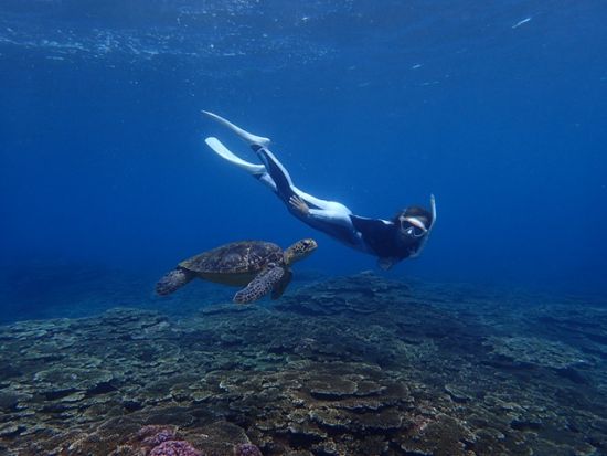 ウミガメシュノーケリングツアー 　少人数制で安心サポート！＜4～10月／午前・午後／送迎あり／八丈島＞