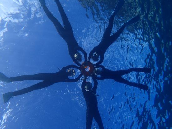 ウミガメシュノーケリングツアー 　少人数制で安心サポート！＜4～10月／午前・午後／送迎あり／八丈島＞