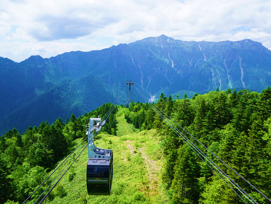●新穂高ロープウェイ緑