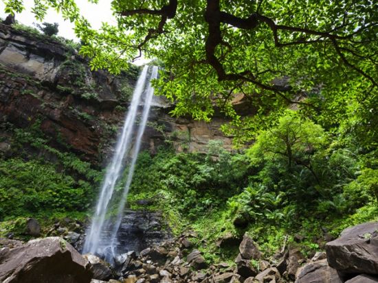 バラス島体験ダイビングツアー　ウミガメとの遭遇率が高いバラス島体験ダイビング！ピナイサーラの滝カヌー付きプランあり！＜1ダイブ／上原地区ホテル無料送迎／西表島＞
