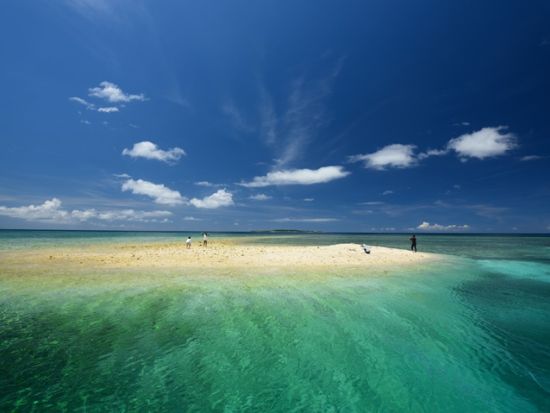 バラス島シュノーケリングツアー　サンゴのかけらでできた「奇跡の島」バラス島でウミガメとシュノーケリング＜半日または1日／上原地区ホテル無料送迎／西表島＞