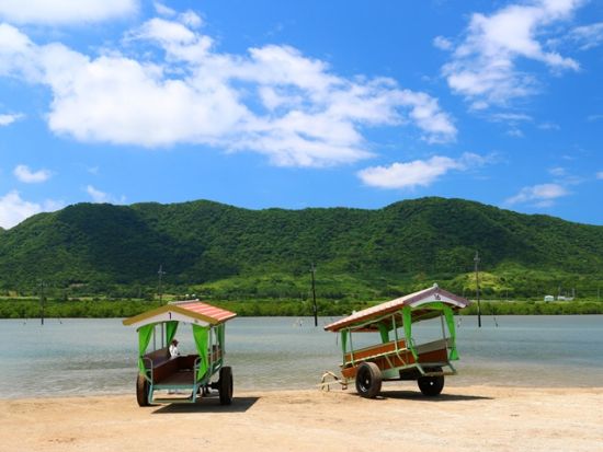 由布島水牛車往復券＋入園券 自由な時間でのんびり植物園を満喫！ 三線を聞きながら水牛車で由布島へ行こう！＜西表島発＞