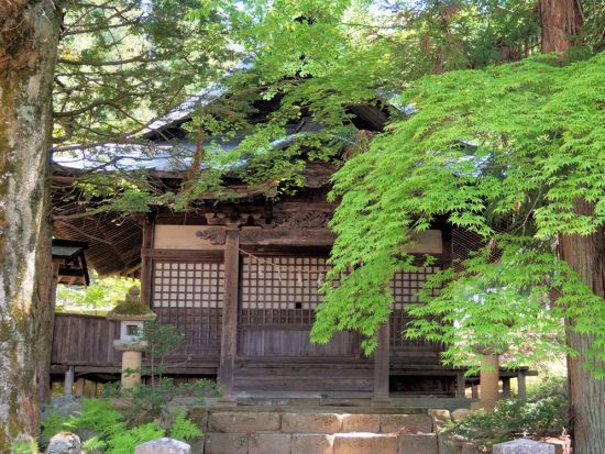 東山寺院群ウォーキングツアー　8つの寺を巡り飛騨高山の歴史と文化に触れる　座禅体験プランあり＜午前／高山＞by ハッピープラス
