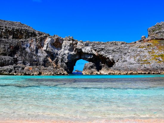 南島観光ツアー　1日100人限定の南島上陸＋ドルフィンスイム＋冬～春限定ホエールウォッチング＋シュノーケリング＜1日／小笠原諸島・父島発＞