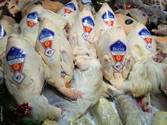 LES HALLES DE LYON_10