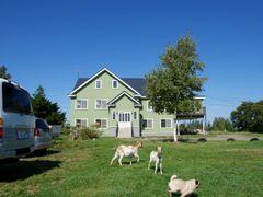 DSC02074