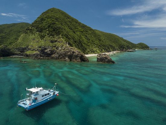 奄美大島 体験ダイビング　サンゴが広がるスポットへご案内！選べるビーチまたはボートダイビング＜瀬戸内町＞by ゼログラビティ