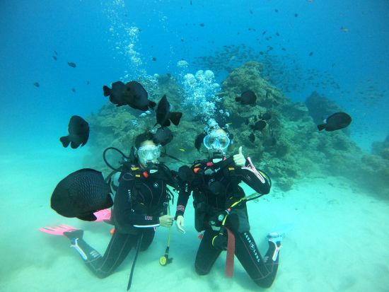 奄美大島 体験ダイビング　サンゴが広がるスポットへご案内！選べるビーチまたはボートダイビング＜瀬戸内町＞by ゼログラビティ