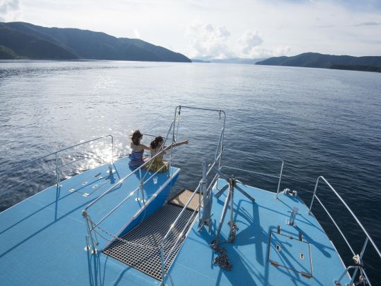 奄美大島 体験ダイビング　サンゴが広がるスポットへご案内！選べるビーチまたはボートダイビング＜瀬戸内町＞by ゼログラビティ