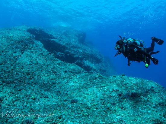 繝繧､繝薙Φ繧ｰ5
