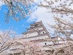 pixta_64424485_M