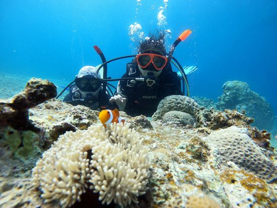 体験ダイビング　シュノーケリング付きプランあり！シャワー＆更衣室完備＜ボート／1～2ダイブ／半日または1日／島内送迎無料＞byイエローサブマリンダイブスタジオ
