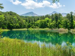 pixta_66490948_M