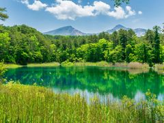 pixta_66229324_M