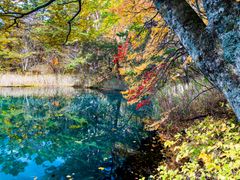 pixta_75220190_M