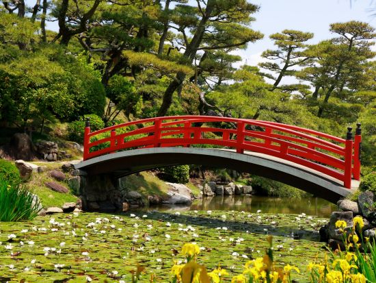 貸切タクシー 高松市内美術館巡り＋瀬戸大橋サンセット＜8時間／高松市内発＞