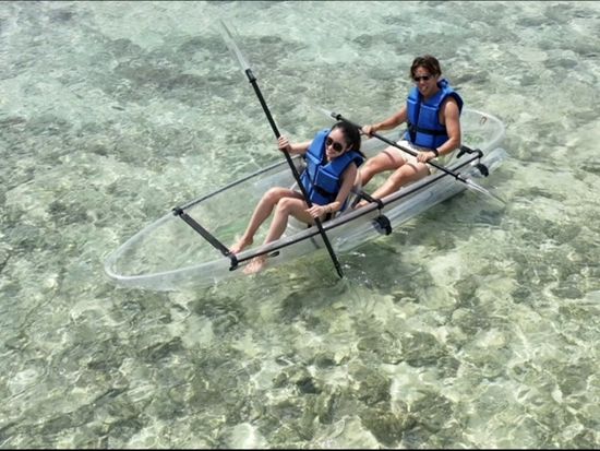 クリアカヤックツアー 海面を浮かびながら海の中を覗ける Supペダルボート付きプランもあり 1 1 5時間 宮古島 宮古島の観光 オプショナルツアー専門 Veltra ベルトラ