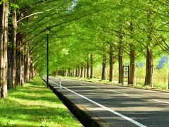 pixta_77015904_M