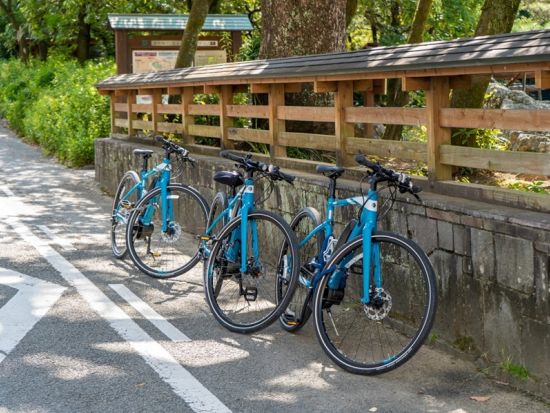 E-BIKEレンタル　電動自転車で高知を観光！高知駅徒歩8分でアクセス便利な場所からスタート＜1日または2日／高知市内発＞