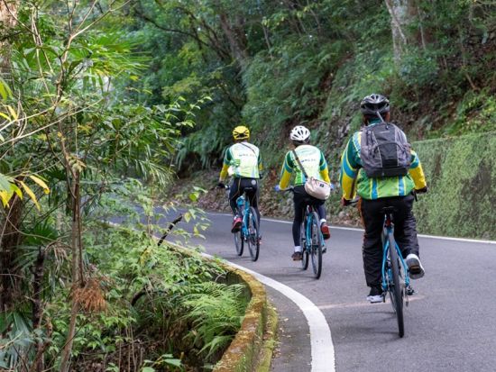 E-BIKEレンタル　電動自転車で高知を観光！高知駅徒歩8分でアクセス便利な場所からスタート＜1日または2日／高知市内発＞