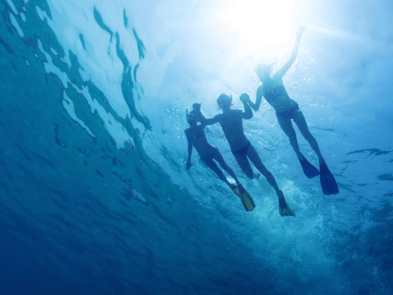 Snorkeling_Blue_Swimming_Ocean_Sunlight_shutterstock_310266890 (1)