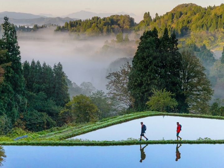 十日町・星峠の棚田トレッキングツアー 地域のおやつ付き ローカル