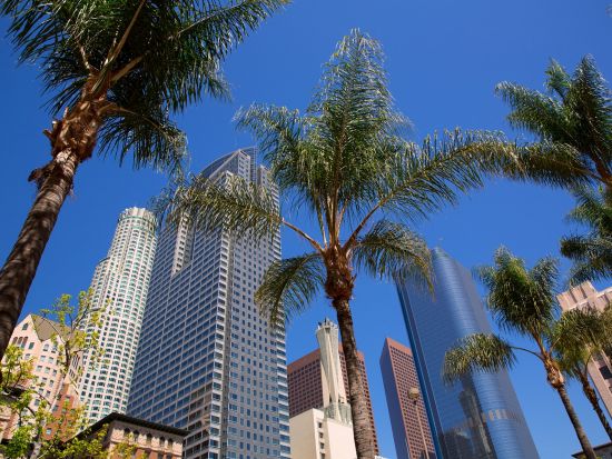 【空港送迎】ロサンゼルス国際空港 ⇔ ダウンタウン地区 ＜貸切／日本語ドライバー＞