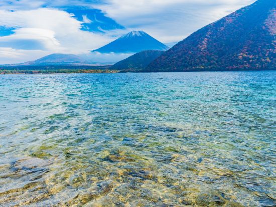 富士山の麓でランニング＆ウォーキングツアー　富士山麓の森や本栖湖湖畔でのんびり自然を感じてリラックス＜午前・午後／富士河口湖町＞