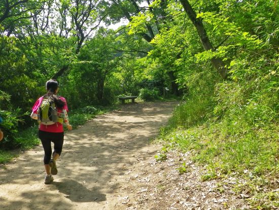 富士山の麓でランニング＆ウォーキングツアー　富士山麓の森や本栖湖湖畔でのんびり自然を感じてリラックス＜午前・午後／富士河口湖町＞