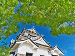 pixta_58506153_M