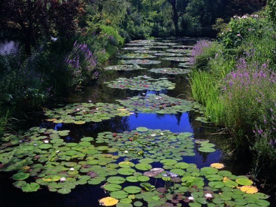 北川村「モネの庭」往復送迎 人気絶景カフェ「シーハウス」立寄り付き＜貸切／6時間／高知市内発＞
