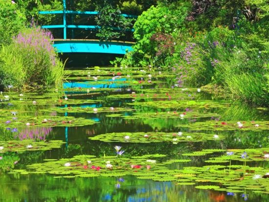 北川村「モネの庭」往復送迎 人気絶景カフェ「シーハウス」立寄り付き＜貸切／6時間／高知市内発＞