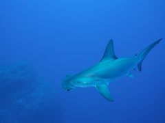 pixta_29982728_M