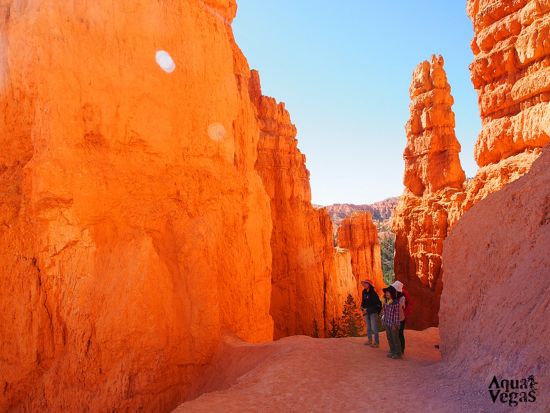 グランドサークル2泊3日　グランドキャニオン＆アンテロープ＆セドナ＆モニュメントバレー＆ブライスキャニオン＆ザイオン＆エスカランテ ＜日本語ガイド＞