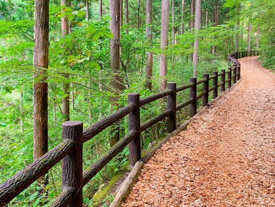 セラピーロード