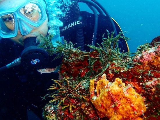 103663016_594412854806132_1407854985384698867_n