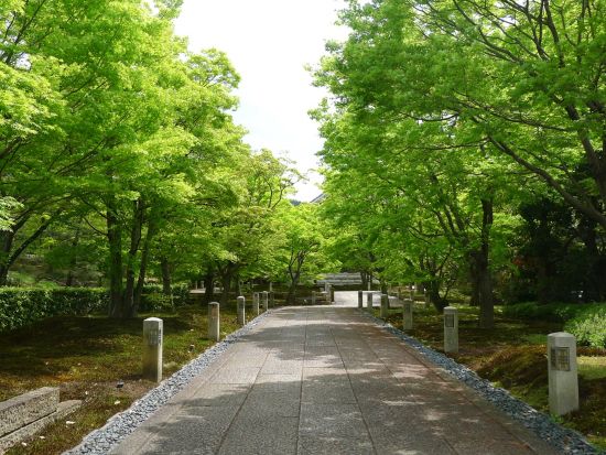 智積院 拝観＋京料理御膳の昼食 事前予約＜智積院茶寮 桔梗／京都七条＞