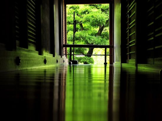 智積院 拝観＋京料理御膳の昼食 事前予約＜智積院茶寮 桔梗／京都七条＞