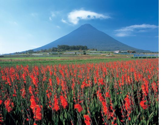 指宿市内発着貸切観光タクシー　道の駅山川港「活お海道」～西郷さんゆかりの鰻温泉～本土最南端の駅「JR西大山駅」をめぐる ＜約2時間＞by 指宿観光交通株式会社