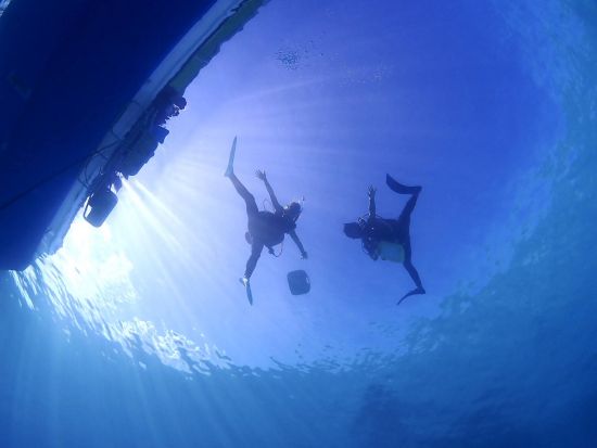 石垣島でダイバーデビュー！PADIオープンウォーターライセンス最短2日間で取得OK！＜eラーニング・器材レンタル・ランチ代込＞