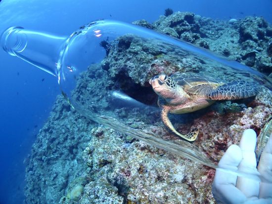 初心者専門＆少人数制のファンダイビング！安心サポートでリフレッシュダイブもOK！1日で2～3ダイブ、昼食・送迎付き。