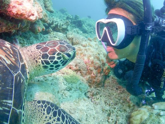 初心者専門＆少人数制のファンダイビング！安心サポートでリフレッシュダイブもOK！1日で2～3ダイブ、昼食・送迎付き。