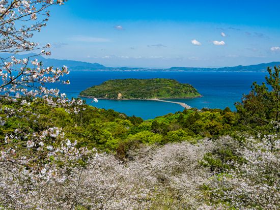 指宿市内発着貸切観光タクシー　長崎鼻（龍宮神社）～JR西大山駅～開聞岳（車窓）～池田湖～知林ヶ島鑑賞コース＜約4時間／指宿市内発＞by 指宿観光交通株式会社