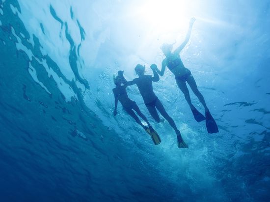 Snorkeling_Blue_Swimming_Ocean_Sunlight_shutterstock_310266890
