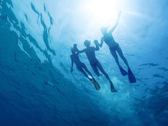 シュノーケリングツアー　公認インストラクターがガイド！人気の富戸や伊豆海洋公園で地上にはない感動体験！＜城ヶ崎海岸駅お迎え可／伊東市＞by ダイブショップ宝島